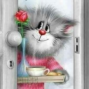 Meet your Posher, Sophy